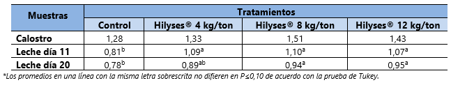 leitões