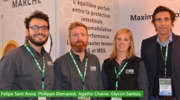 ICC Brazil introduces products for animal nutrition at SPACE 2018