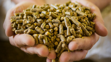 Do you know the pelletized feed manufacturing process?