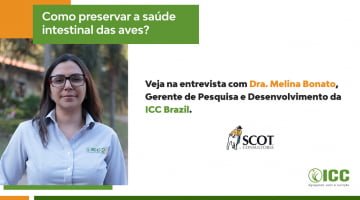 Entrevista: como preservar a saúde intestinal das aves?