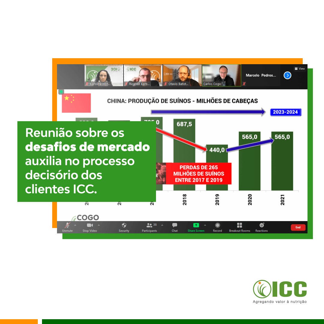 Cenários para insumos de rações, estratégias de comercialização e a pecuária nacional foram temas tratados em evento exclusivo da ICC Brazil